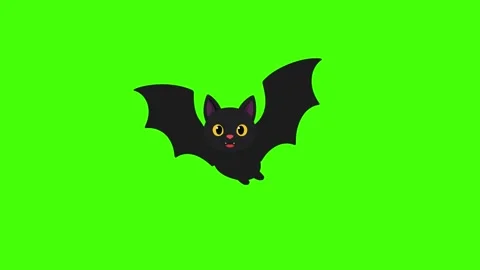 Halloween bat animated cute vampire creature flapping wings flying on 4k gr.. Stockbeeldmateriaal 343774145