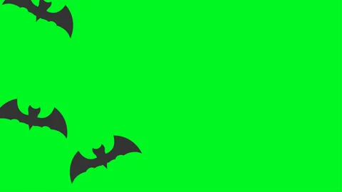 Halloween Bat Background With Copy Space. 4k Animation Stock Footage 283416169