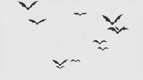 Halloween bat flying motion graphics video transparent background Stock Footage 252295390