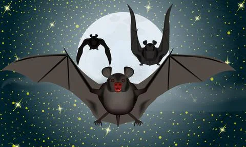 Halloween Bat Stock Illustration