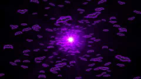 Halloween bat loop animation background Stock Footage 146255884