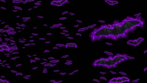 Halloween bat loop animation background Vídeos de archivo 146255916