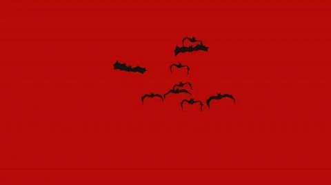 Halloween Bats with Alpha Matte Stock Footage 838085