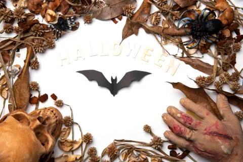 Halloween Bats on background Foto stock