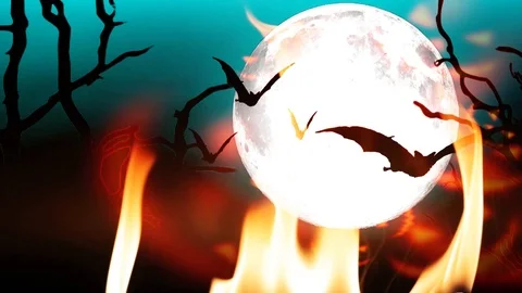 Halloween bats on flames Stock Footage 95806074
