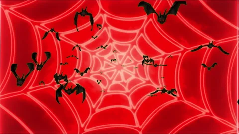 Halloween - Bats fly against the background of a red web Stock Footage 248913006