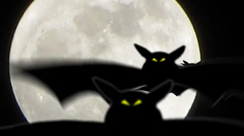 Halloween Bats Fly At Camera Stock Footage 35551412