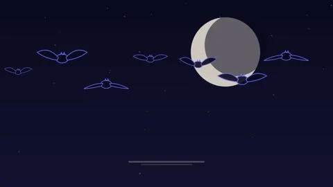 Halloween bats flying full moon midnight loop Stock Footage 342614508