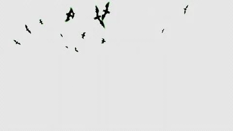 Halloween bats flying loop animation Halloween concept element with alpha c.. Stock Footage 281080966