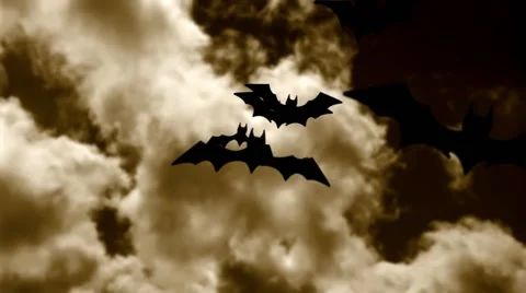 Halloween bats 스톡 동영상 68318908