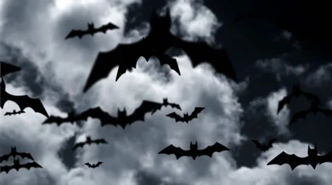 Halloween bats Stock Footage 68318913