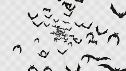 Halloween Bats Stock Footage 288645372