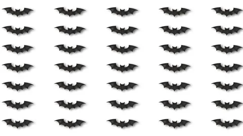 Halloween Black Bats Flying Pattern Animation on White Background for Spook.. Stock Footage 346517796