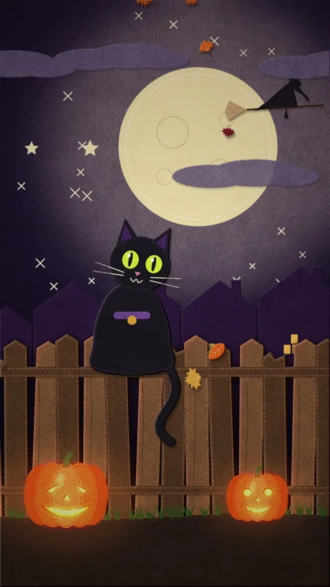 Halloween Black Cat Stop Motion Background Stock Footage 346768571
