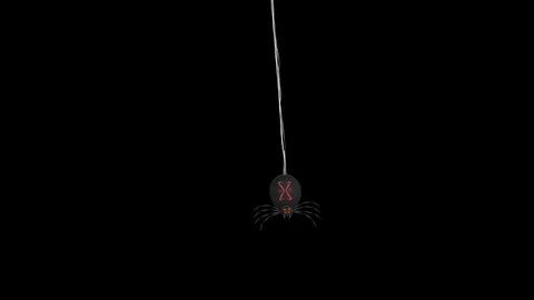 Halloween Black spider Stock Footage 125774441