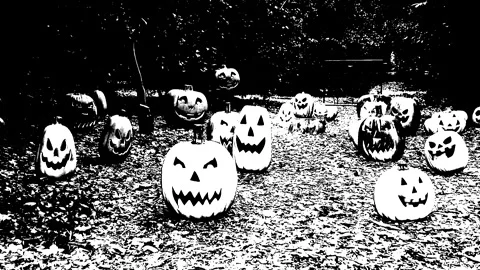 Halloween Carved Pumpkin Patch Black &amp; White Graphic Novel Style Stock Footage Video stock 253861960