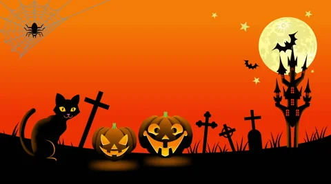 Halloween cat animation Stock Footage 54643964