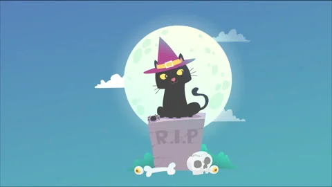 Halloween Cat Stock Footage 206373100