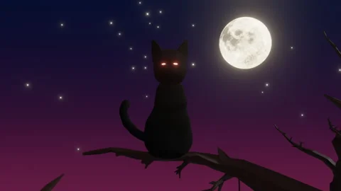 Halloween Cat Night Video stock 287078720