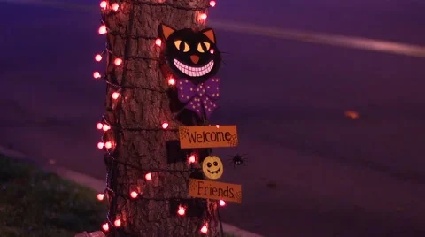 Halloween cat sign Vidéo 48845934
