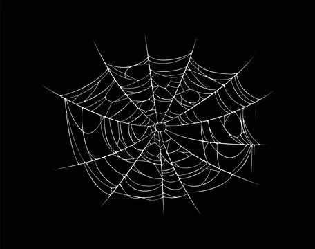 Halloween cobweb spiderweb with stretched threads Stock Illustration