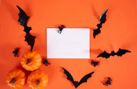 Halloween composition with bats, pumpkins and blank card Stock Photos