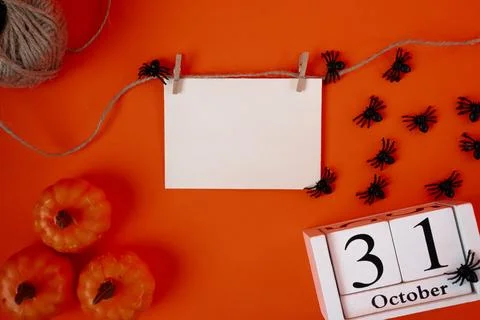 Halloween composition with blank card, pumpkins and spiders Stock Photos