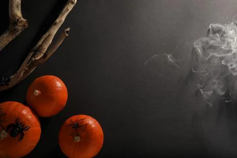 Halloween composition with pumpkins, decorative spiders and wooden branch on  Stock Photos