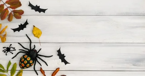 Halloween composition with spiders, bats and fallen colorful leaves Stock Footage 318584244