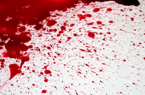 Halloween concept : blood splatter Stock Photos