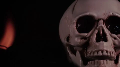 Halloween Concept Head Skull and Fire Stock Footage 289345167