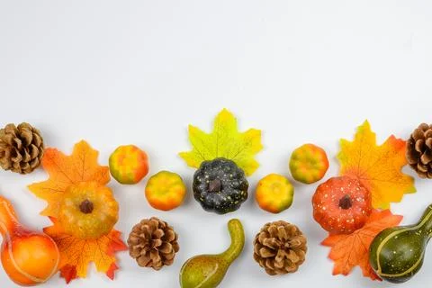 Halloween concept Stock Photos
