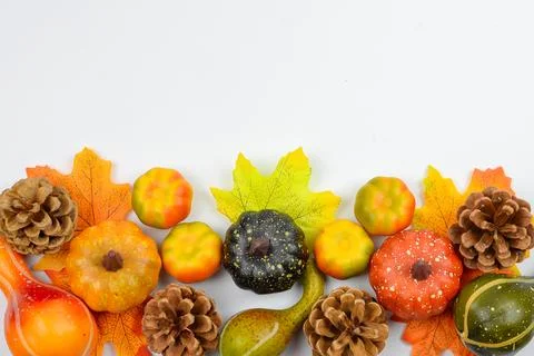 Halloween concept Stock Photos