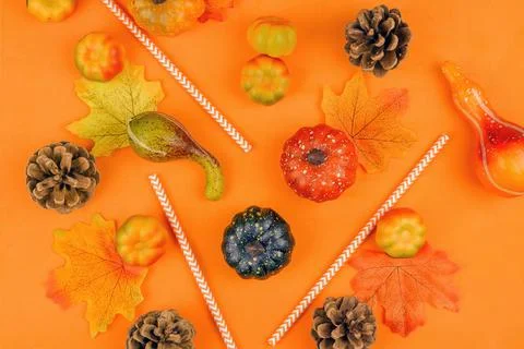Halloween concept Stock Photos