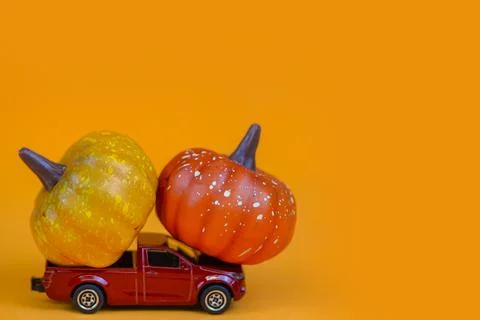 Halloween concept Stock Photos