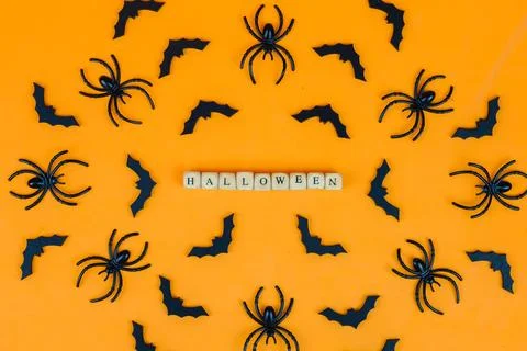 Halloween concept Stock Photos