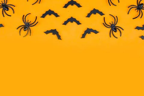 Halloween concept Stock Photos