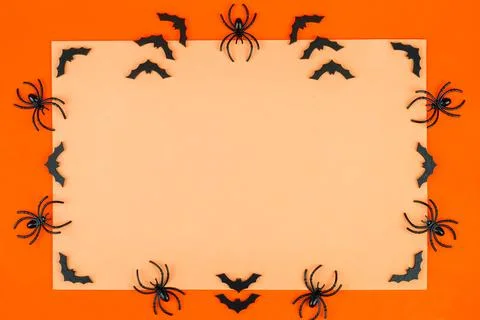 Halloween concept. Stock Photos