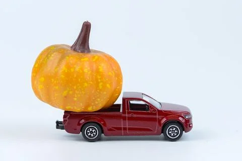 Halloween concept. Stock Photos