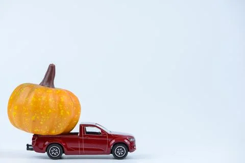 Halloween concept. Stock Photos