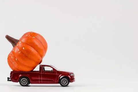 Halloween concept. Stock Photos