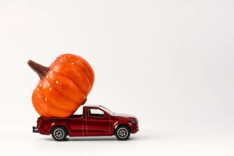 Halloween concept. Stock Photos
