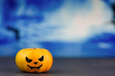 Halloween concept Stock Photos