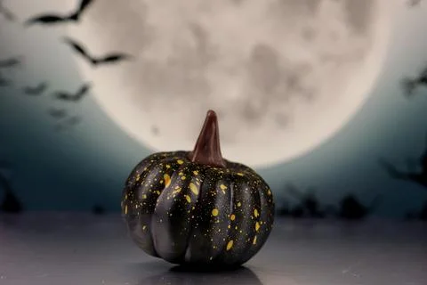 Halloween concept Stock Photos