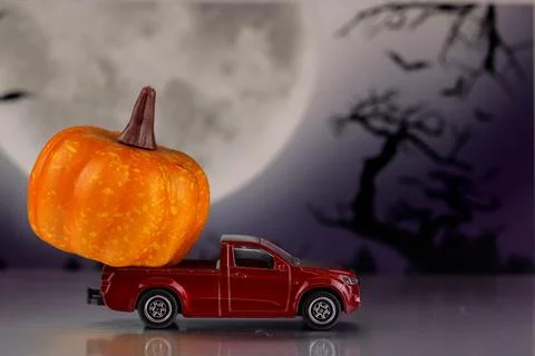 Halloween concept. Stock Photos