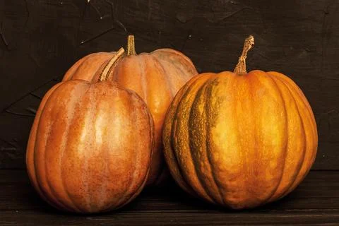 Halloween concept. Three pumpkins on a black background. Stock Photos