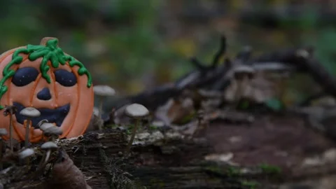 Halloween cookie stands on fallen tree Stock Footage 219885007