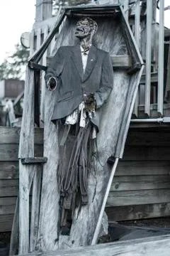 Halloween corpse Stock Photos