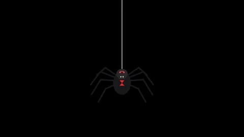 Halloween Crawling Spider Silk Thread Bounce Transparent Background Stock-Footage 347038740