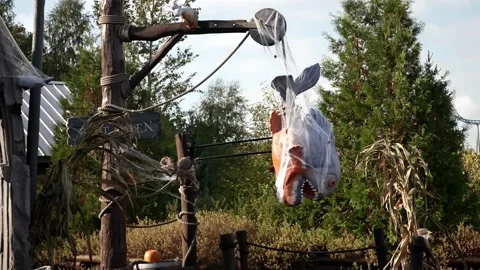 Halloween, dead fish hanging on a pole Stock Footage 219583817